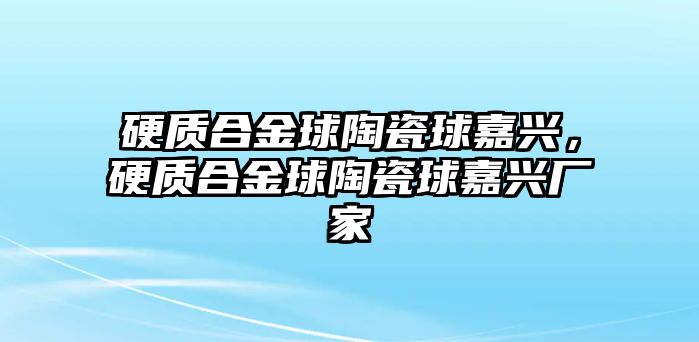 硬質合金球陶瓷球嘉興，硬質合金球陶瓷球嘉興廠家