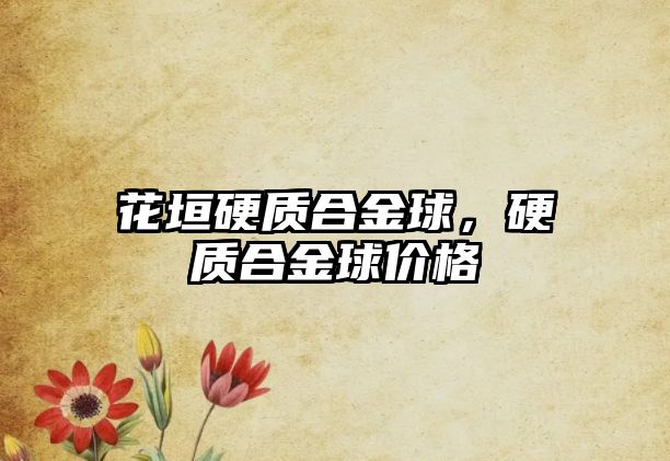 花垣硬質(zhì)合金球，硬質(zhì)合金球價(jià)格