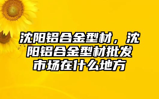 沈陽鋁合金型材，沈陽鋁合金型材批發(fā)市場在什么地方