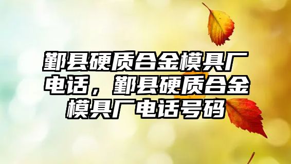 鄞縣硬質(zhì)合金模具廠電話，鄞縣硬質(zhì)合金模具廠電話號碼