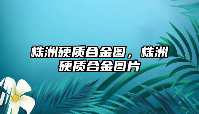 株洲硬質(zhì)合金圖，株洲硬質(zhì)合金圖片