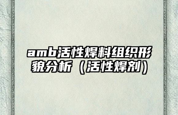 amb活性焊料組織形貌分析（活性焊劑）