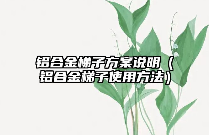 鋁合金梯子方案說明（鋁合金梯子使用方法）