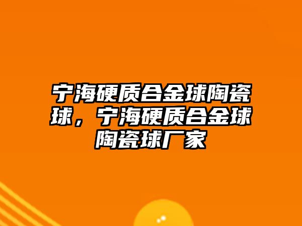 寧海硬質(zhì)合金球陶瓷球，寧海硬質(zhì)合金球陶瓷球廠家