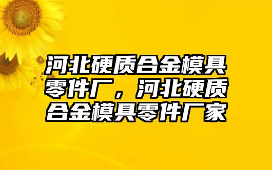 河北硬質(zhì)合金模具零件廠，河北硬質(zhì)合金模具零件廠家