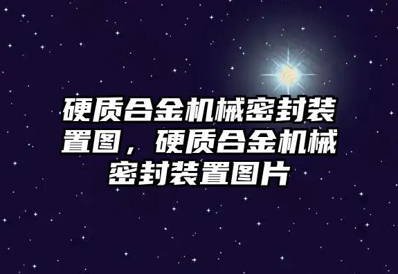 硬質(zhì)合金機(jī)械密封裝置圖，硬質(zhì)合金機(jī)械密封裝置圖片