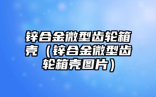 鋅合金微型齒輪箱殼（鋅合金微型齒輪箱殼圖片）