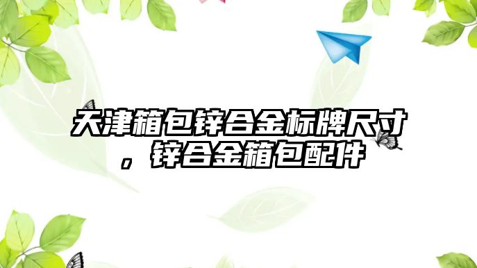 天津箱包鋅合金標(biāo)牌尺寸，鋅合金箱包配件