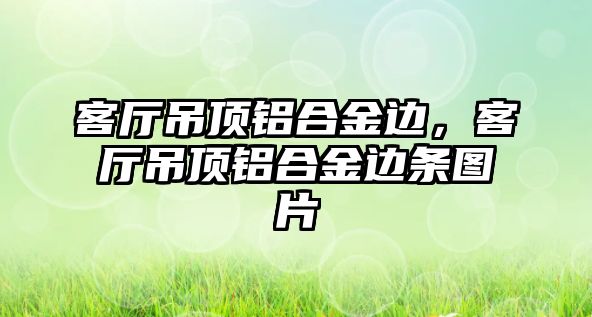 客廳吊頂鋁合金邊，客廳吊頂鋁合金邊條圖片