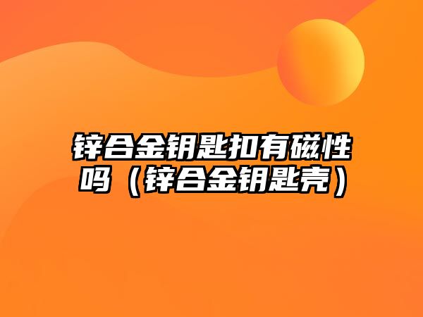 鋅合金鑰匙扣有磁性嗎（鋅合金鑰匙殼）