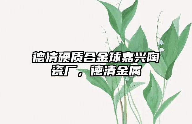 德清硬質(zhì)合金球嘉興陶瓷廠，德清金屬