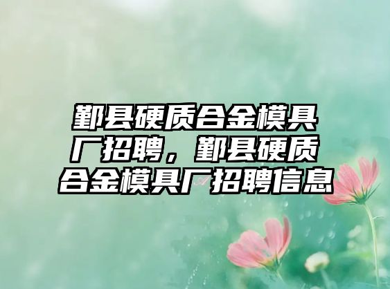 鄞縣硬質合金模具廠招聘，鄞縣硬質合金模具廠招聘信息