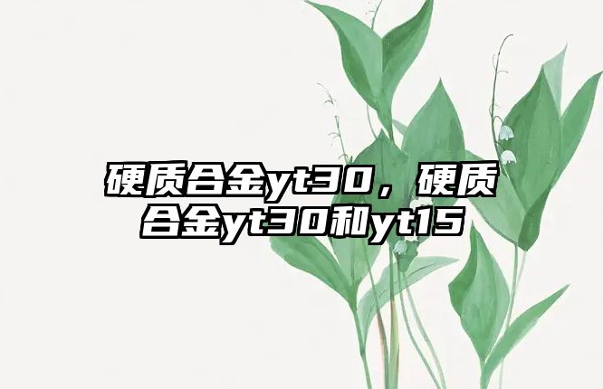 硬質(zhì)合金yt30，硬質(zhì)合金yt30和yt15