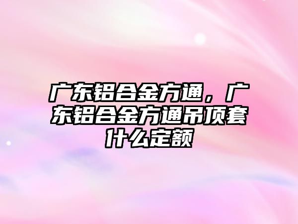 廣東鋁合金方通，廣東鋁合金方通吊頂套什么定額