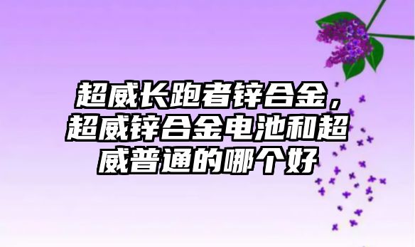 超威長(zhǎng)跑者鋅合金，超威鋅合金電池和超威普通的哪個(gè)好