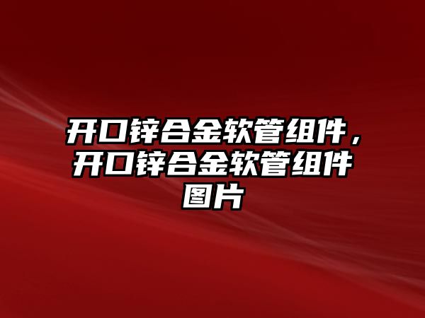 開口鋅合金軟管組件，開口鋅合金軟管組件圖片