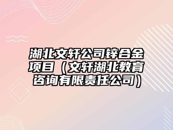 湖北文軒公司鋅合金項目（文軒湖北教育咨詢有限責(zé)任公司）