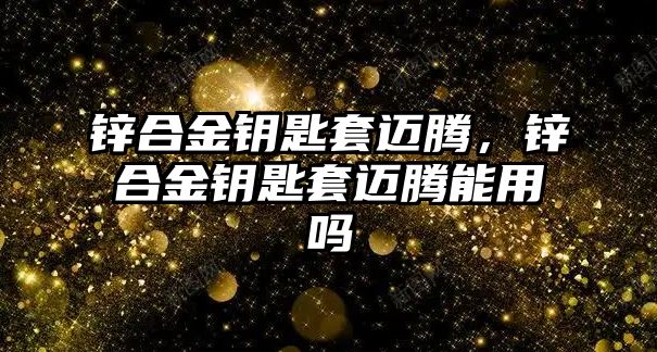 鋅合金鑰匙套邁騰，鋅合金鑰匙套邁騰能用嗎