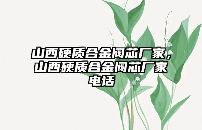 山西硬質(zhì)合金閥芯廠家，山西硬質(zhì)合金閥芯廠家電話