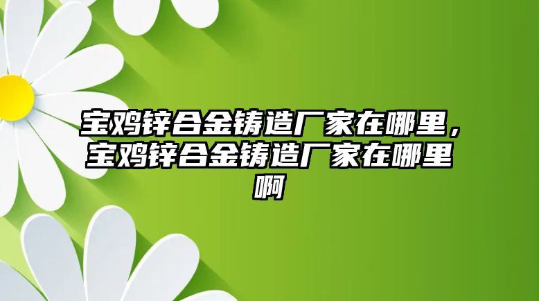 寶雞鋅合金鑄造廠家在哪里，寶雞鋅合金鑄造廠家在哪里啊