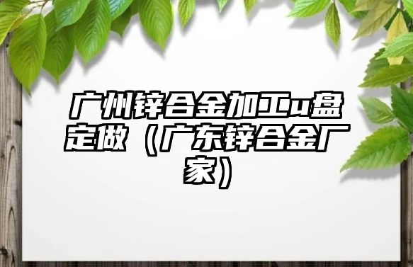 廣州鋅合金加工u盤定做（廣東鋅合金廠家）