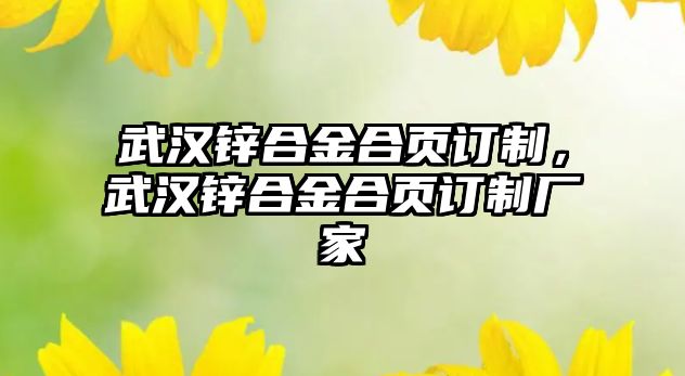 武漢鋅合金合頁訂制，武漢鋅合金合頁訂制廠家