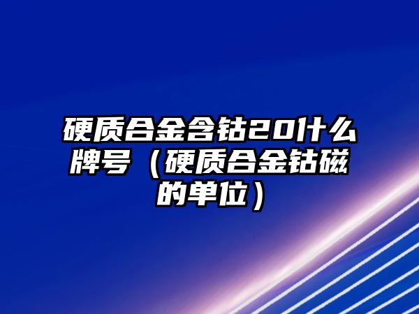 硬質(zhì)合金含鈷20什么牌號（硬質(zhì)合金鈷磁的單位）