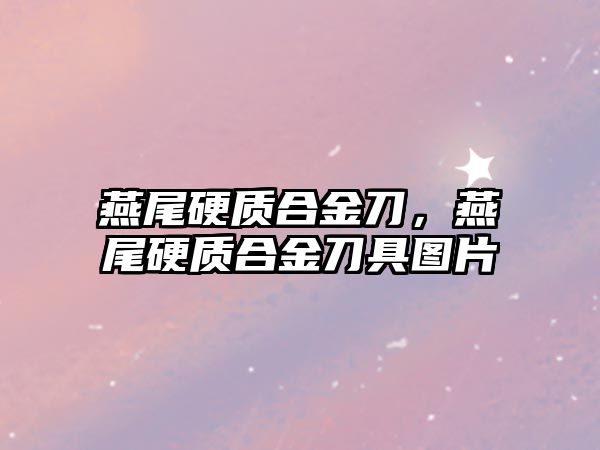 燕尾硬質(zhì)合金刀，燕尾硬質(zhì)合金刀具圖片