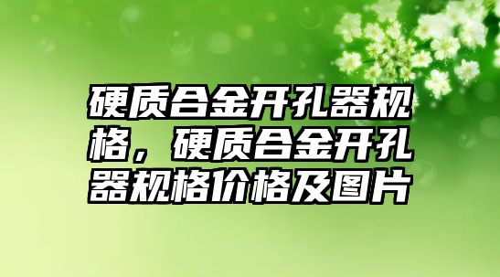 硬質(zhì)合金開孔器規(guī)格，硬質(zhì)合金開孔器規(guī)格價格及圖片