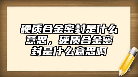 硬質(zhì)合金密封是什么意思，硬質(zhì)合金密封是什么意思啊