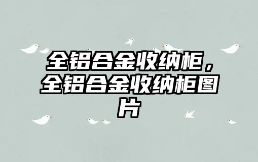 全鋁合金收納柜，全鋁合金收納柜圖片