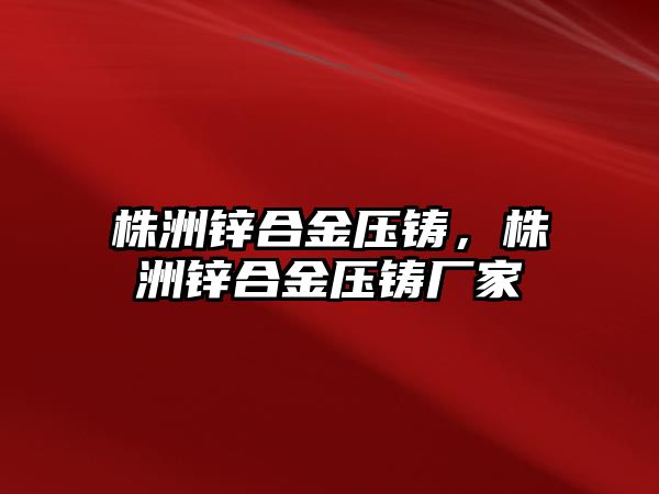 株洲鋅合金壓鑄，株洲鋅合金壓鑄廠家