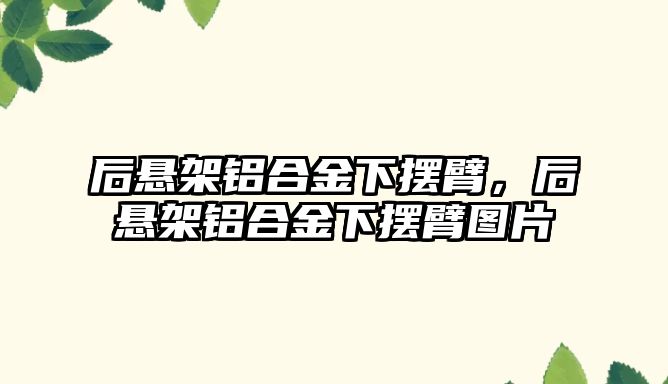 后懸架鋁合金下擺臂，后懸架鋁合金下擺臂圖片