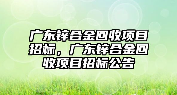 廣東鋅合金回收項目招標，廣東鋅合金回收項目招標公告