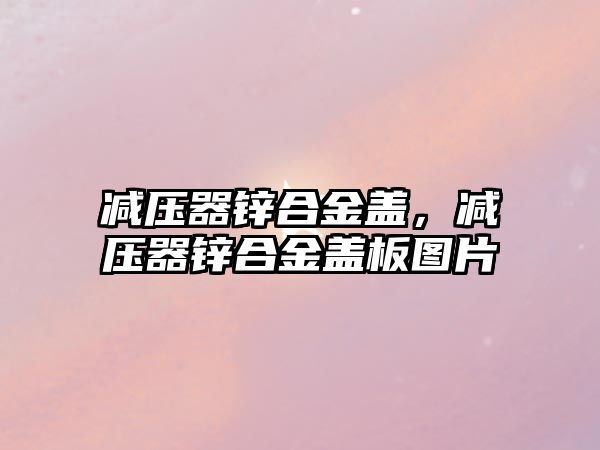 減壓器鋅合金蓋，減壓器鋅合金蓋板圖片