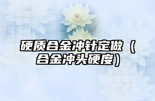 硬質(zhì)合金沖針定做（合金沖頭硬度）