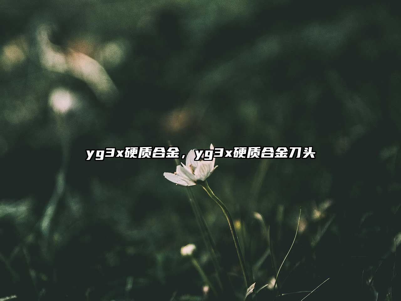 yg3x硬質(zhì)合金，yg3x硬質(zhì)合金刀頭