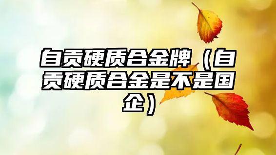 自貢硬質(zhì)合金牌（自貢硬質(zhì)合金是不是國企）