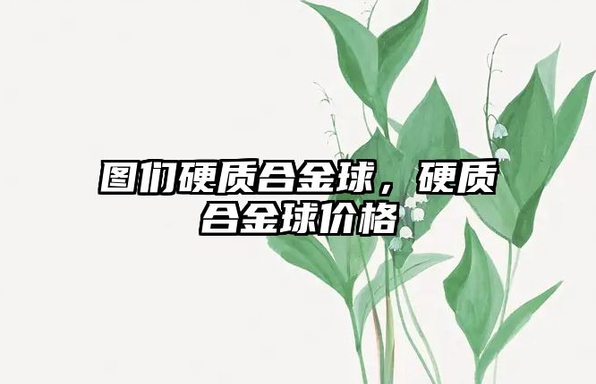 圖們硬質(zhì)合金球，硬質(zhì)合金球價格