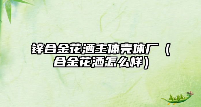 鋅合金花灑主體殼體廠（合金花灑怎么樣）