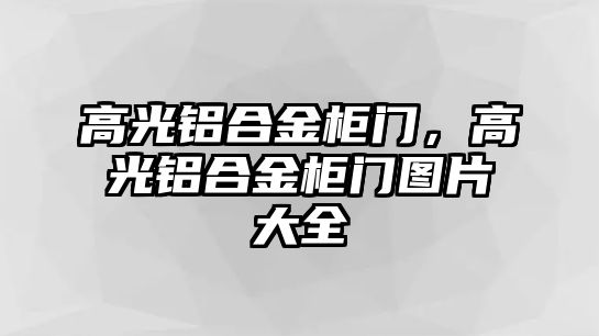 高光鋁合金柜門，高光鋁合金柜門圖片大全