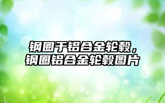 鋼圈于鋁合金輪轂，鋼圈鋁合金輪轂圖片