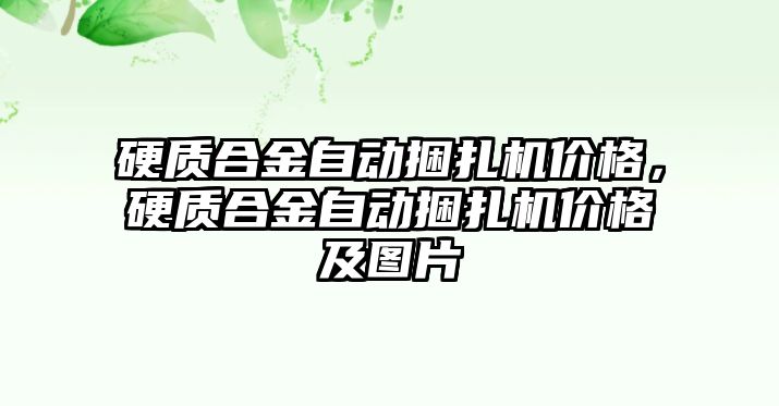 硬質(zhì)合金自動捆扎機價格，硬質(zhì)合金自動捆扎機價格及圖片