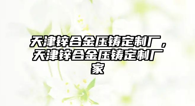 天津鋅合金壓鑄定制廠，天津鋅合金壓鑄定制廠家