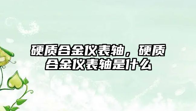 硬質(zhì)合金儀表軸，硬質(zhì)合金儀表軸是什么