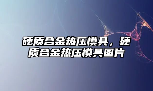 硬質(zhì)合金熱壓模具，硬質(zhì)合金熱壓模具圖片