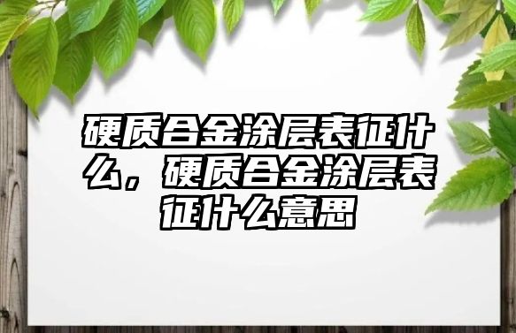 硬質合金涂層表征什么，硬質合金涂層表征什么意思