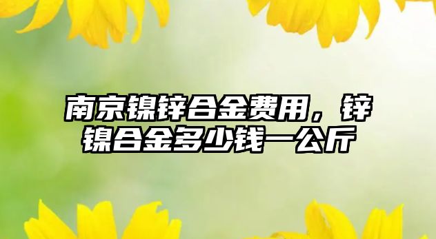 南京鎳鋅合金費(fèi)用，鋅鎳合金多少錢一公斤