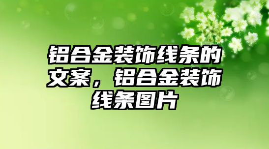 鋁合金裝飾線條的文案，鋁合金裝飾線條圖片