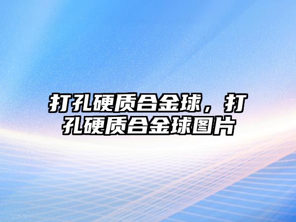 打孔硬質(zhì)合金球，打孔硬質(zhì)合金球圖片